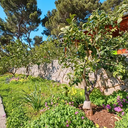 House Katarina With Sea View And Berth, 3* Mali Lošinj